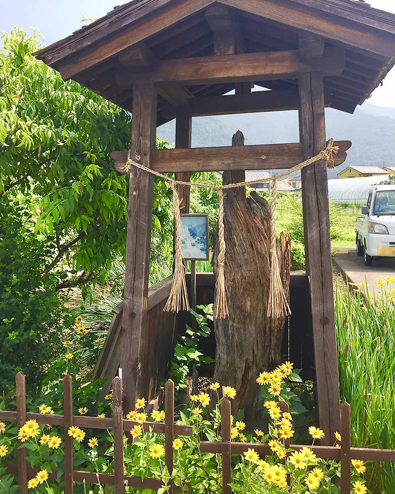 真田昌幸が植えた杉並木のあとの写真