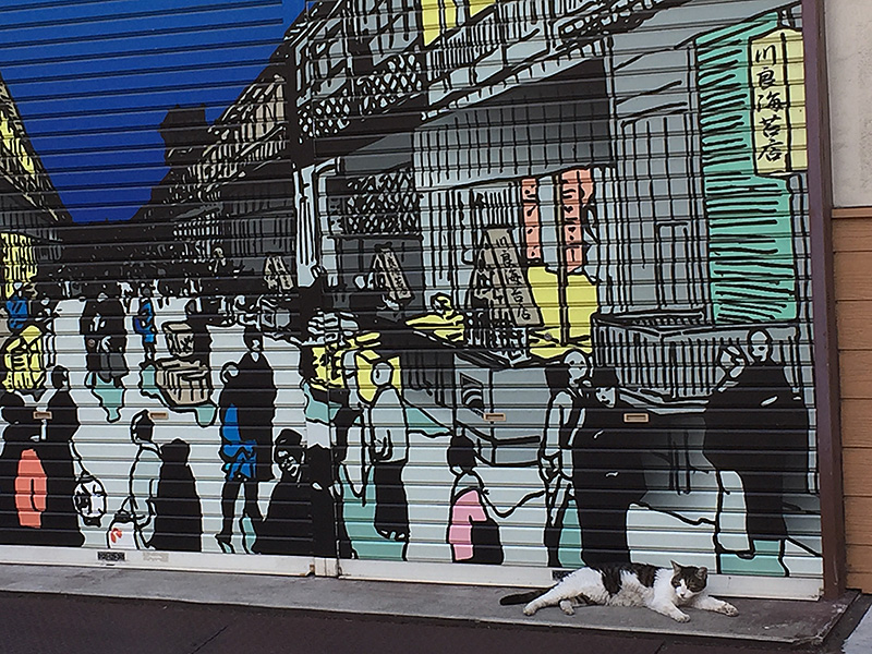 ネコの写真