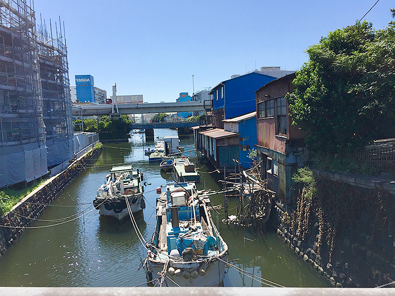 海が近いぞの写真