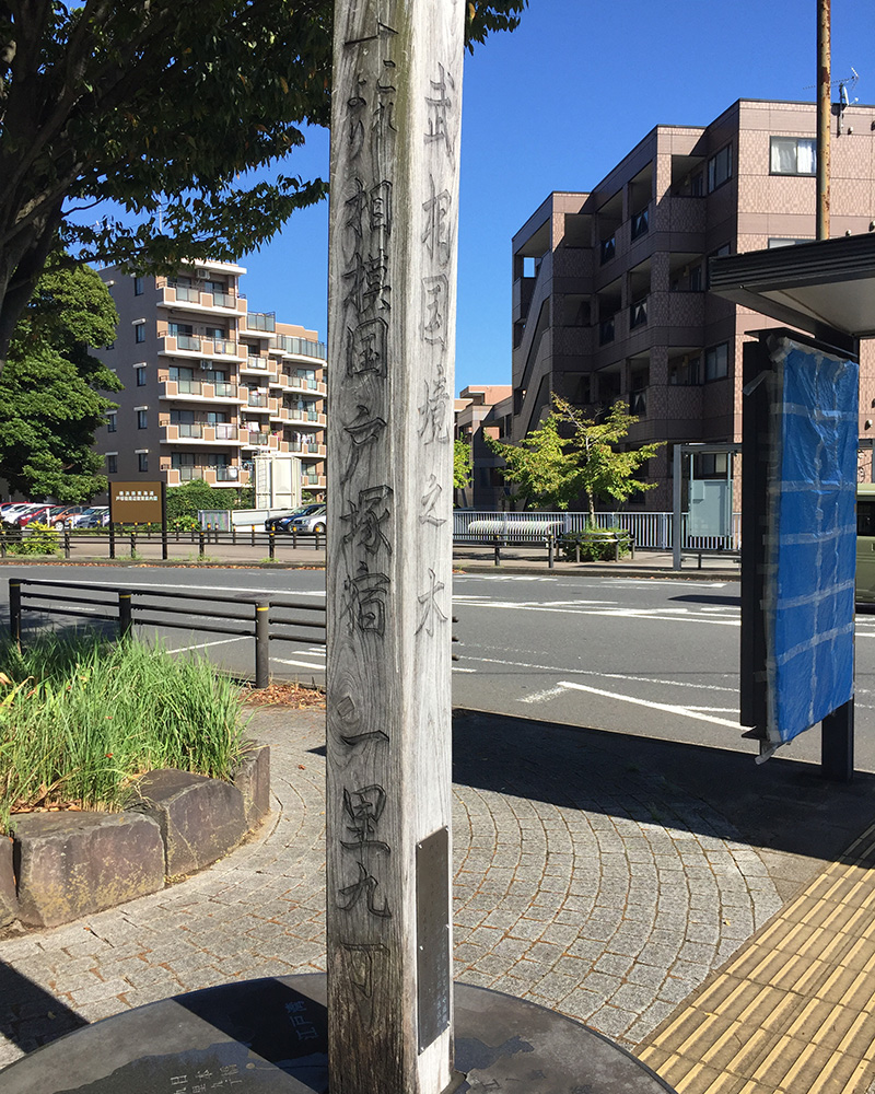 さらば武蔵国、よろしく相模国！の写真