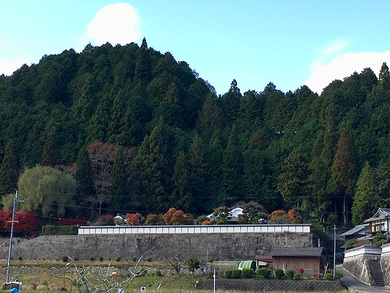 山の中腹に立つ家老屋敷の写真