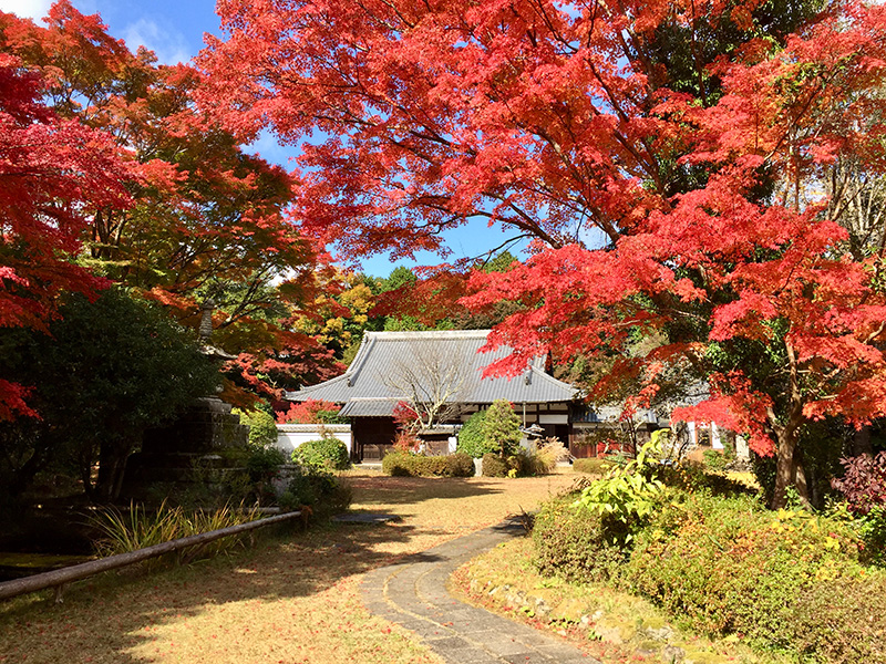 芳徳寺の写真