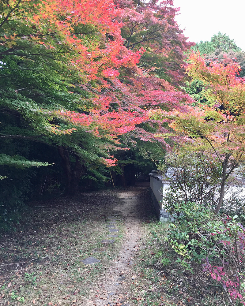 芳徳寺の裏手にある柳生一族の廟所の写真