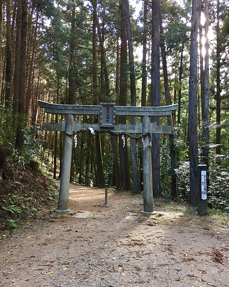 天乃石立神社の写真1