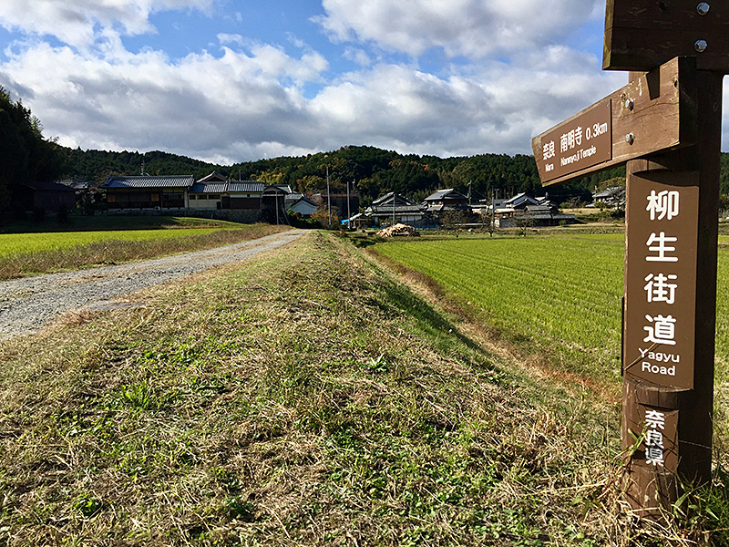 田園の中を歩いていく写真