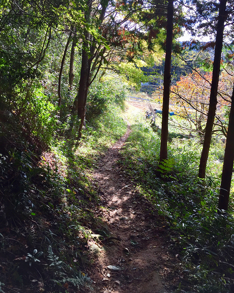 ちょっとしたハイキング気分の写真