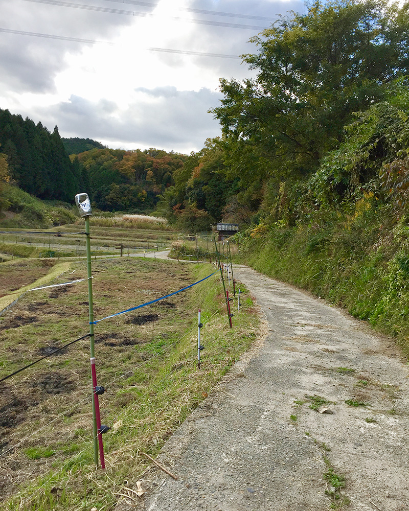 田畑の写真