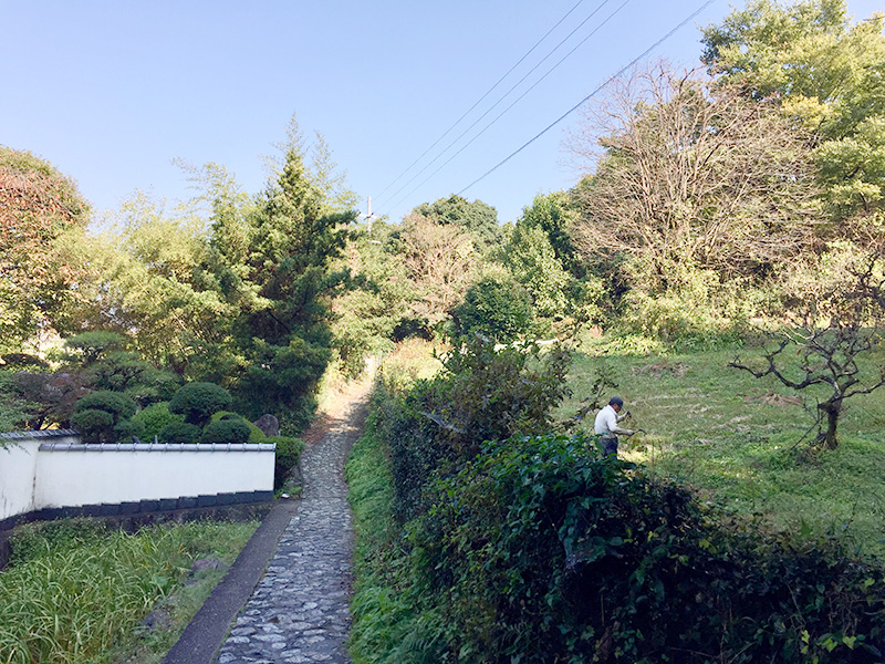坂の道が続く写真