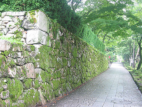 穴太衆積み石垣の写真