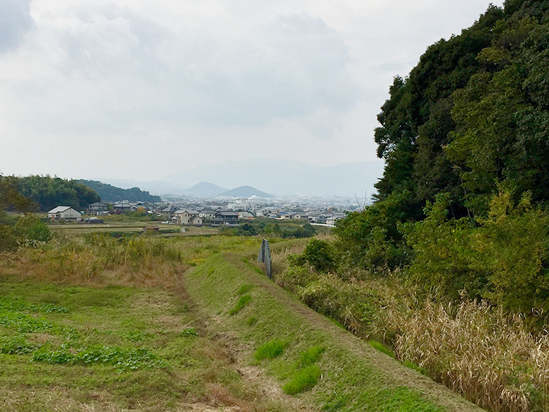大和三山の写真