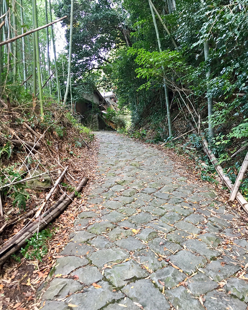 急な上り坂の写真