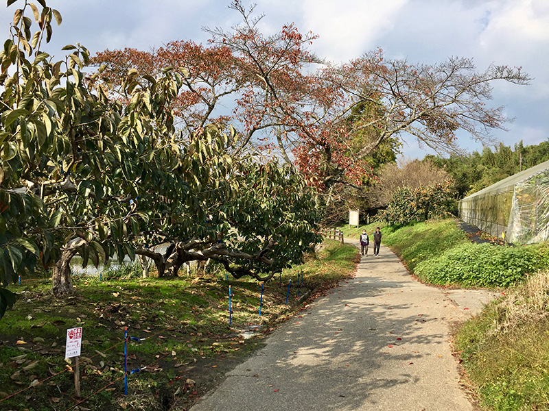 内山永久寺跡の写真