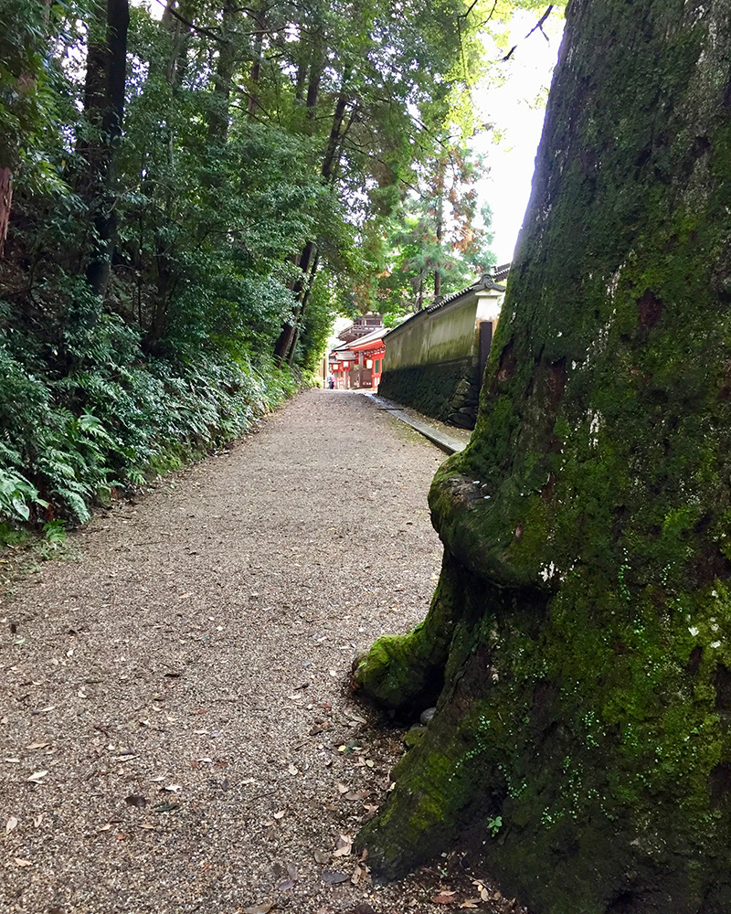 石上神宮からさらに北へ、山の辺の道は続く写真