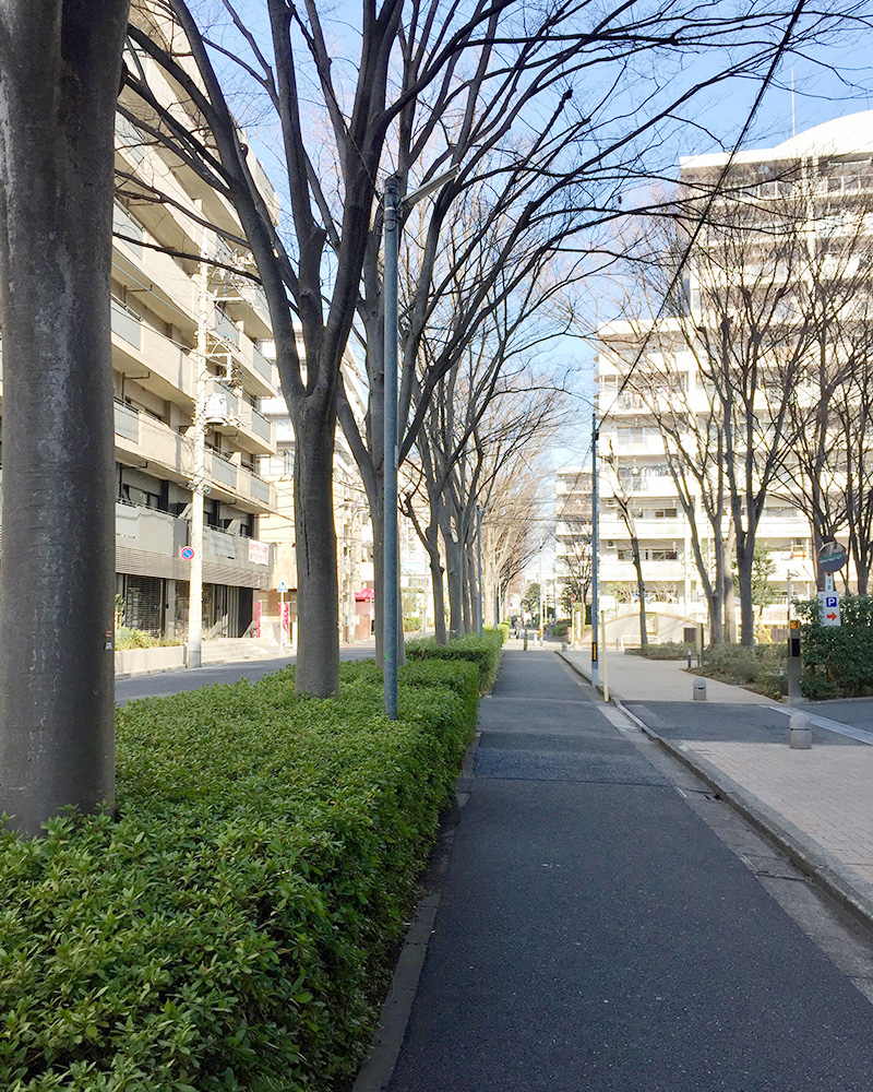 団地の中の写真