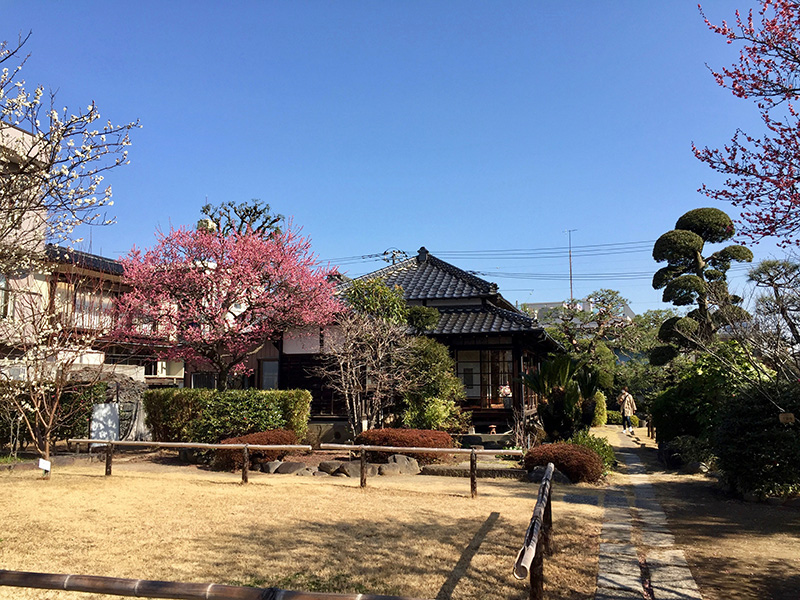 蕨市立歴史民俗資料館分館の写真