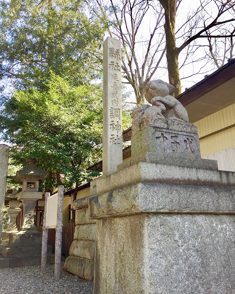 こまウサギの写真