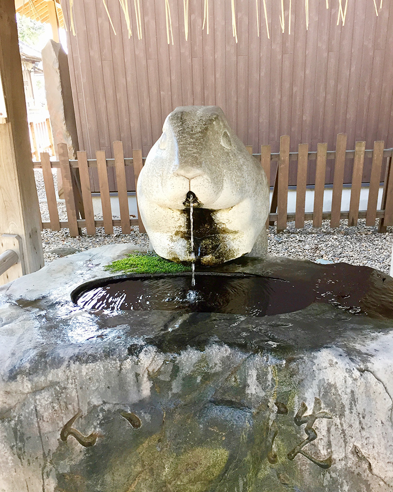 手水鉢にもウサギの写真