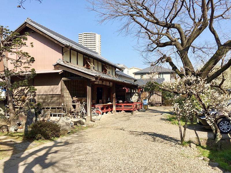 青山茶舗の写真2