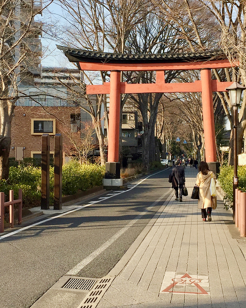 氷川神社一の鳥居の写真