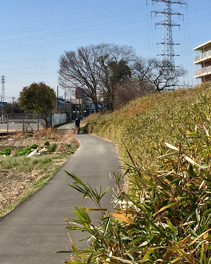 石田堤の写真