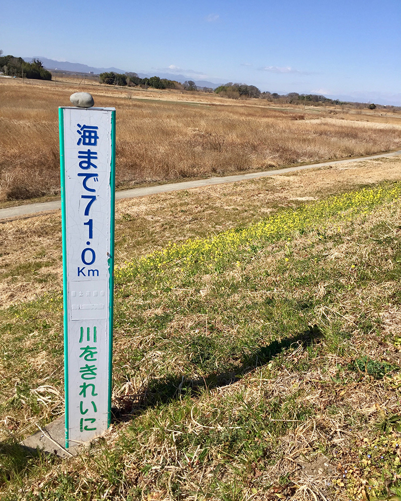 向こう岸が見えない写真