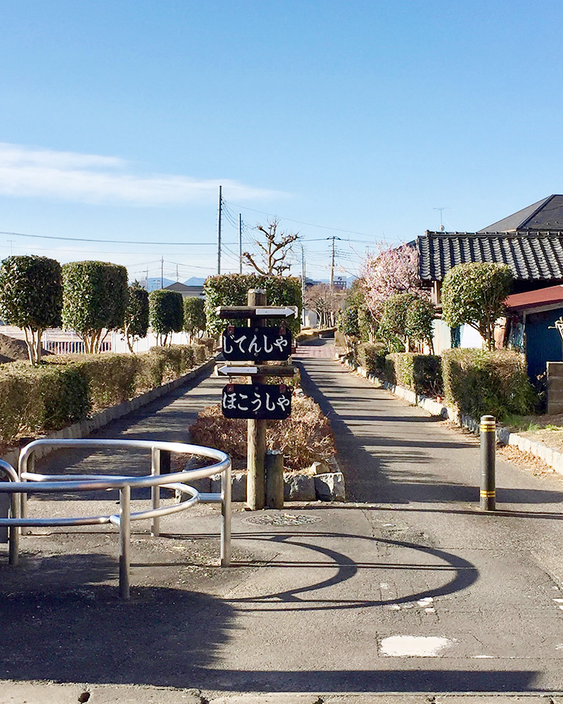 自転車と歩行者が分離されていて安心の写真