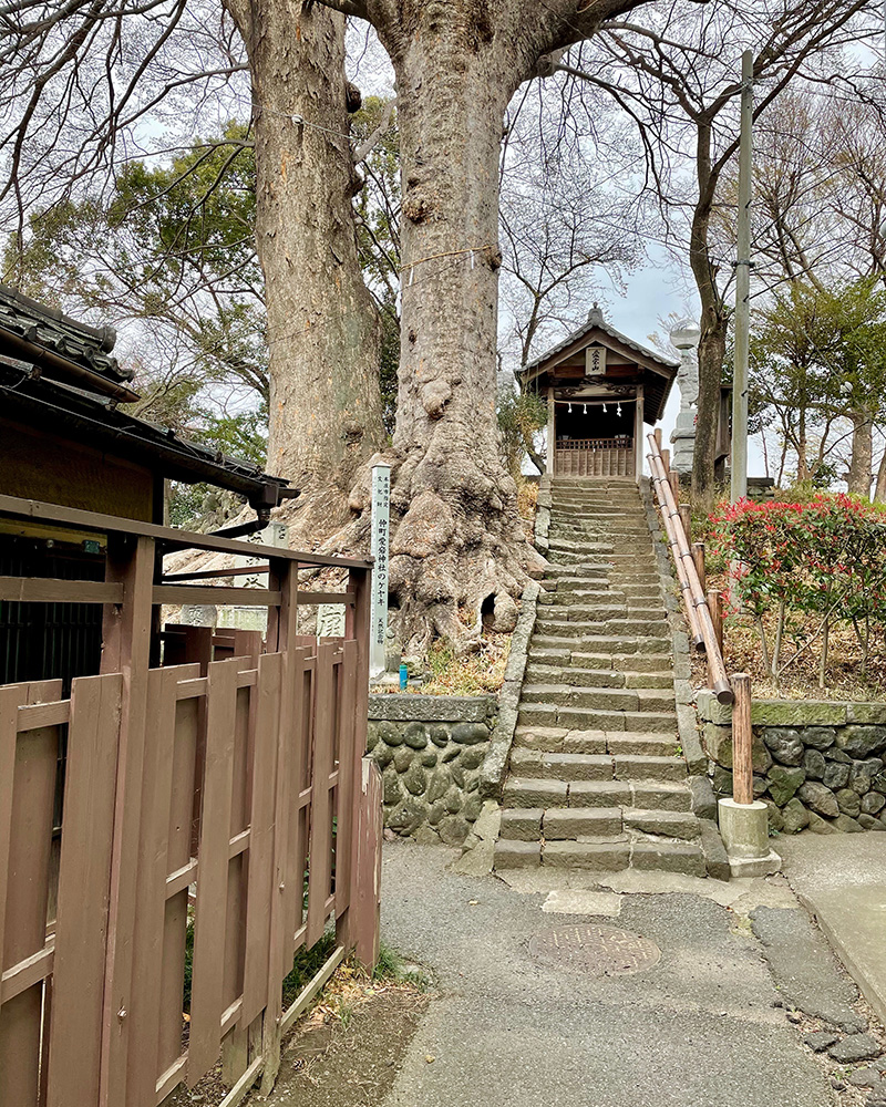 古墳の上に愛宕神社の祠があった写真