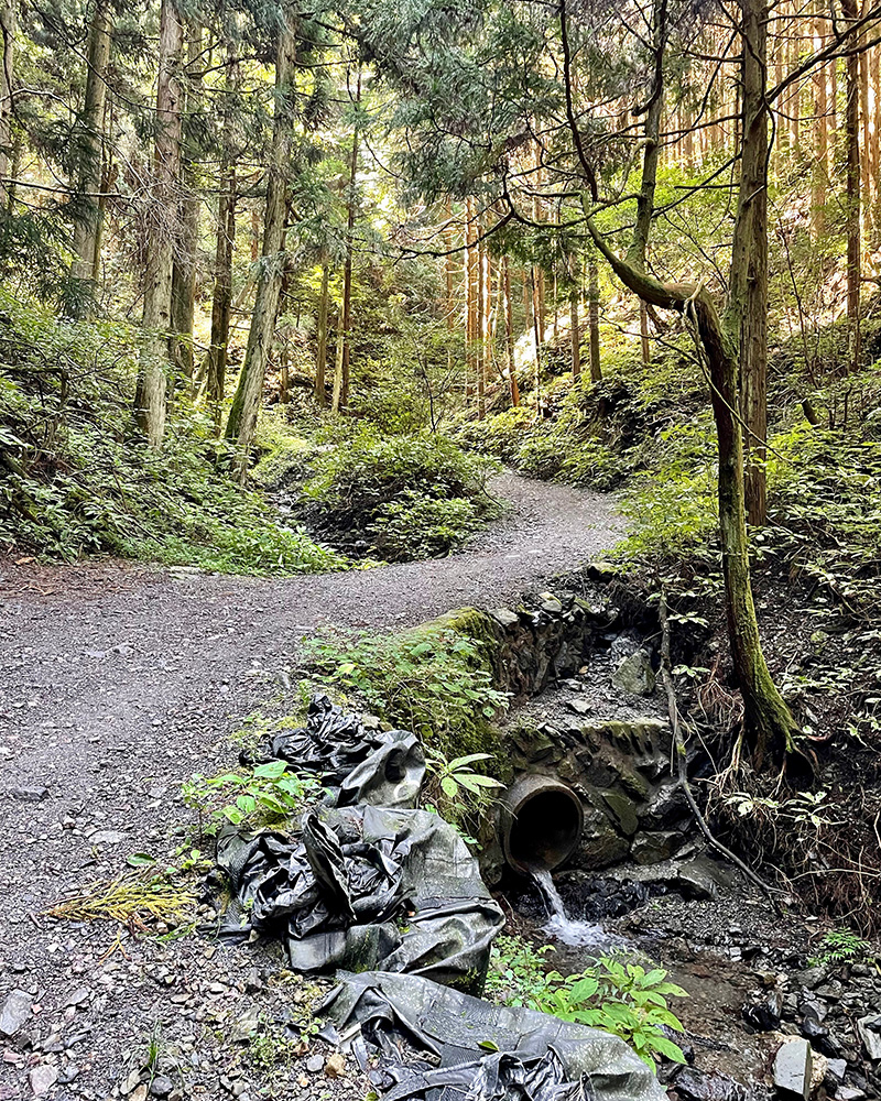 小仏峠まで静かな山道が続く写真