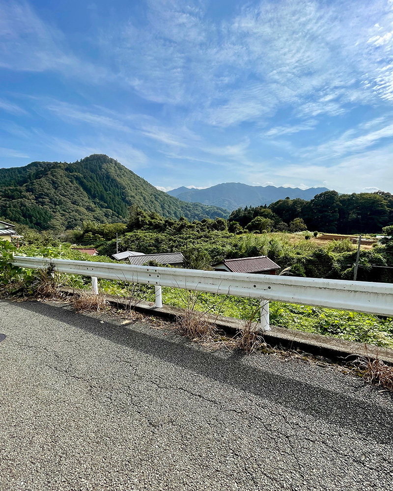 再びのどかな道になった写真