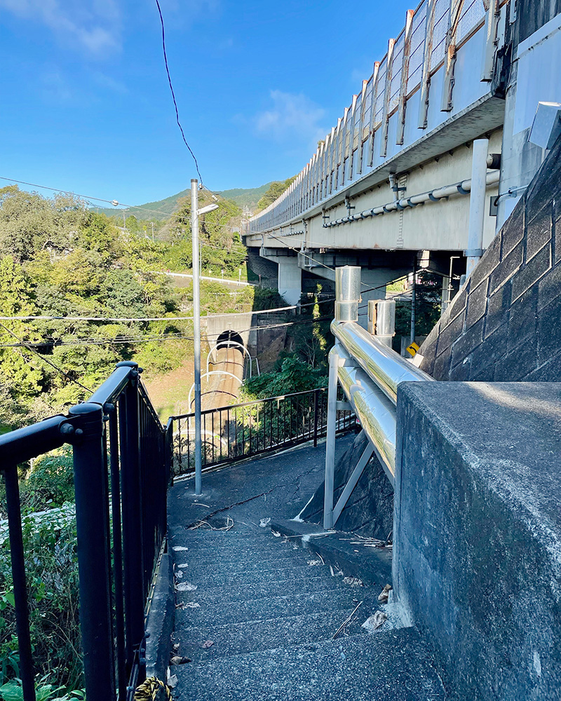この階段が旧甲州街道だの写真