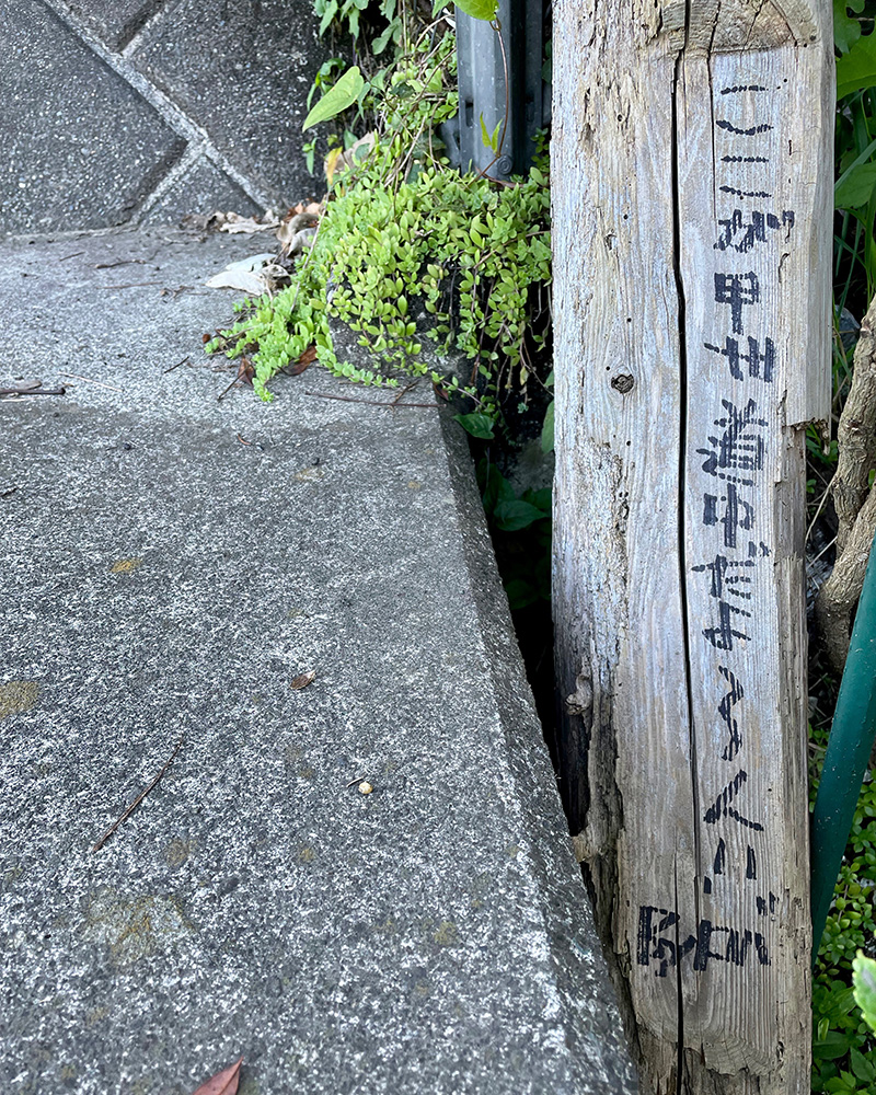 ここが甲州道中だよ~ん!!の写真