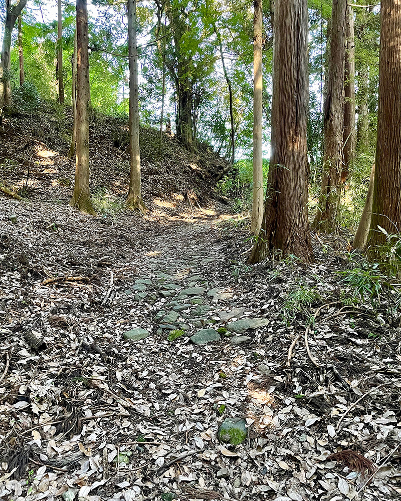 石畳がうっすらと残っている写真
