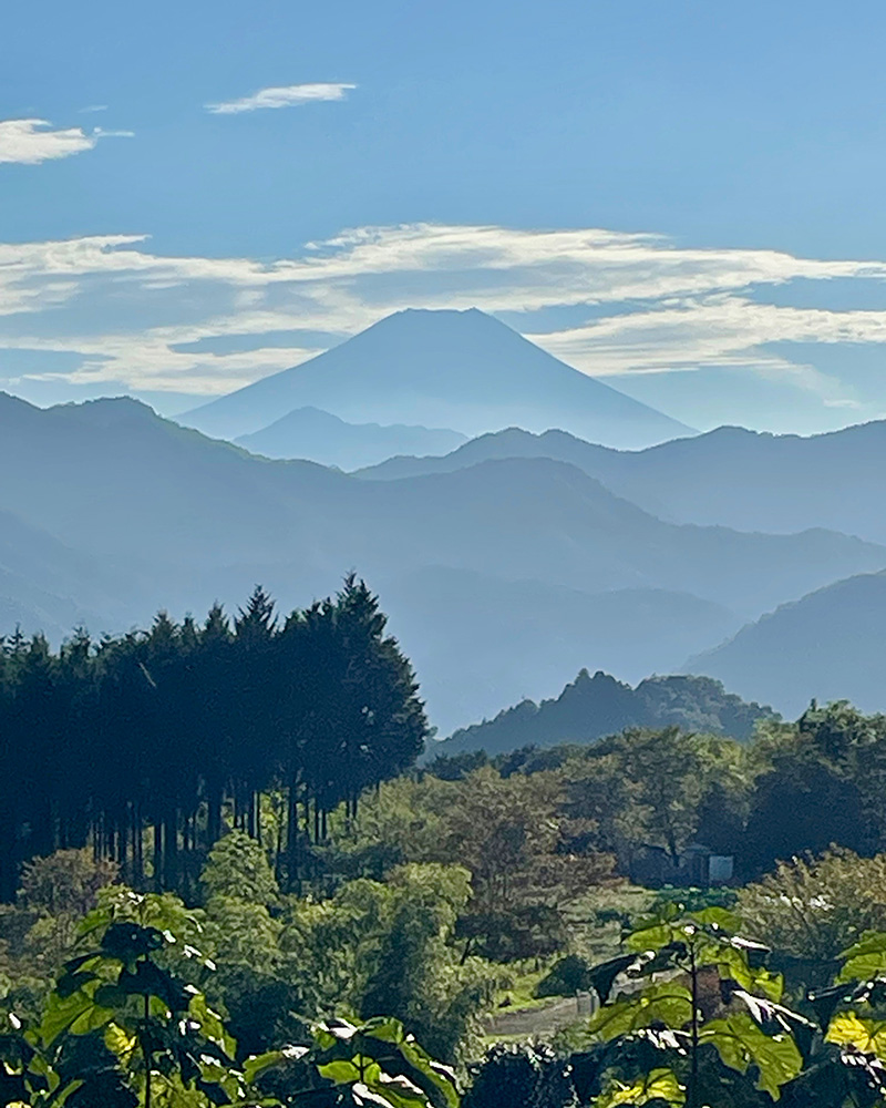 版画絵のような山のグラデーションの写真