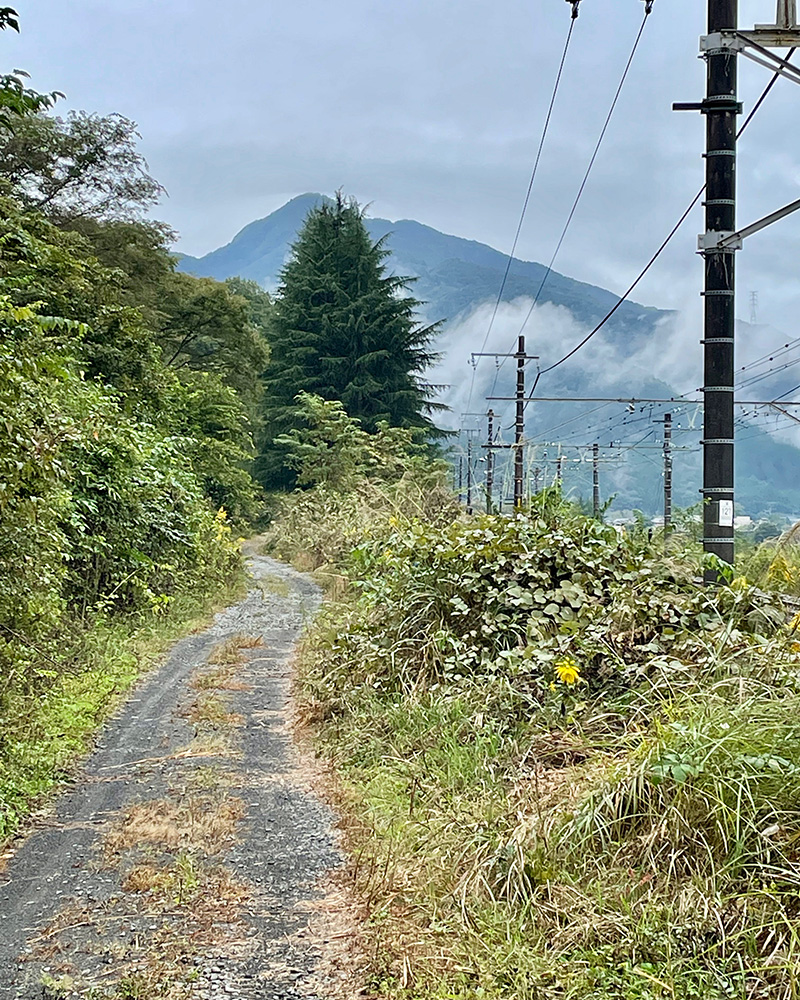 線路沿いの道を歩く写真