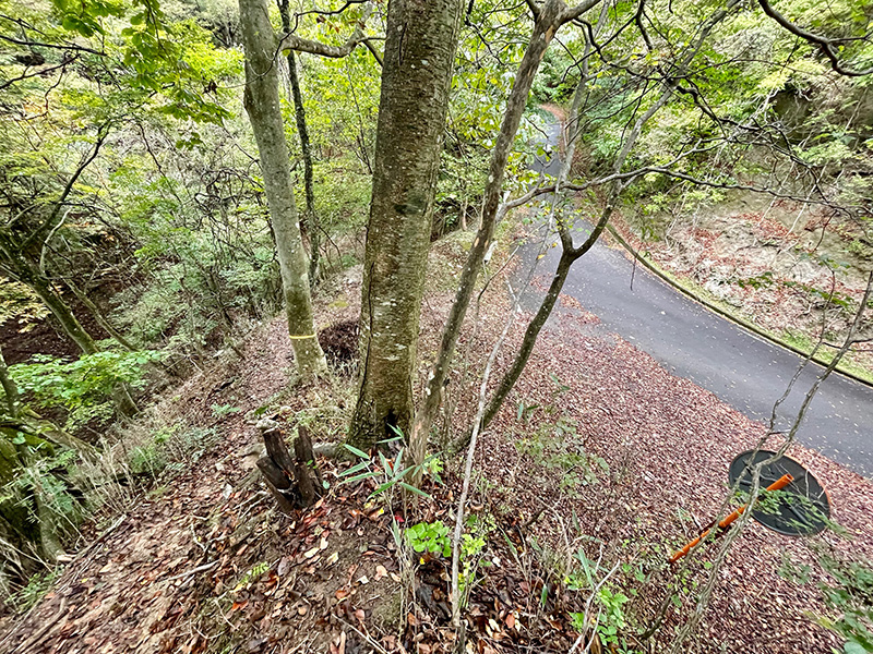 突然、山道の先に舗装路が見えて一安心の写真