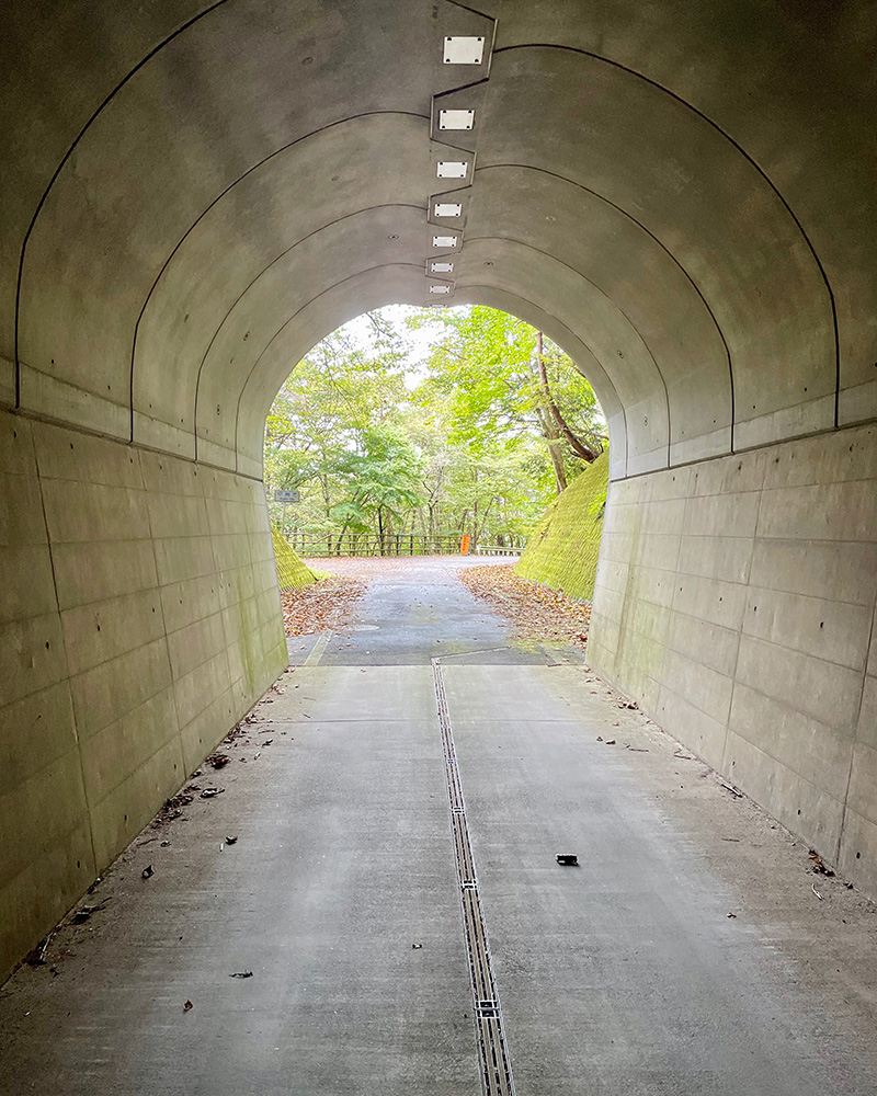 トンネル出口の緑がまぶしい写真