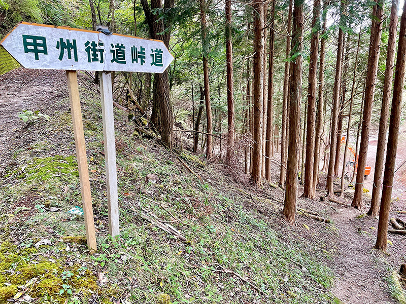 峠道を下りていく写真