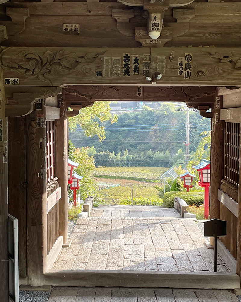 山門の向こうにぶどう畑が見えた写真