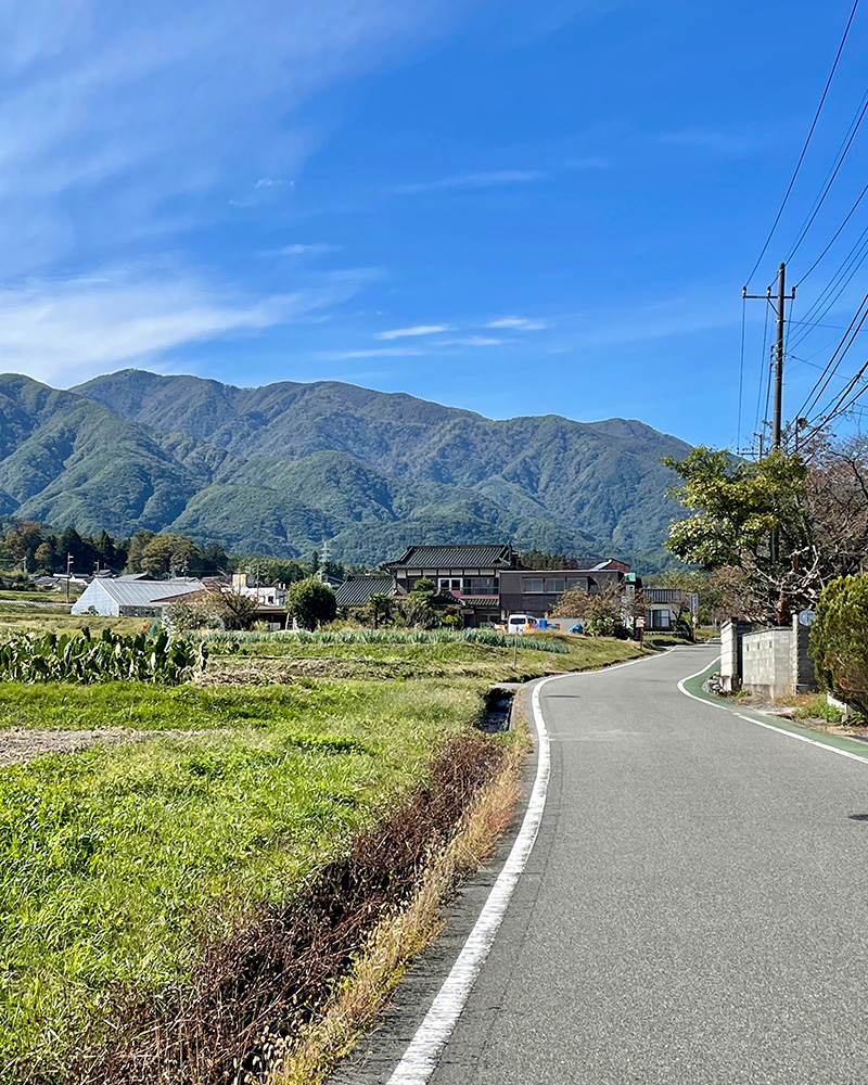 のどかな田舎道が続く写真