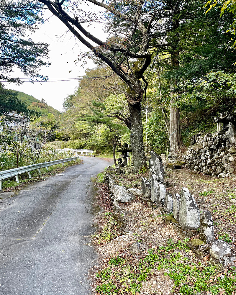 だんだん暗くなってきた写真
