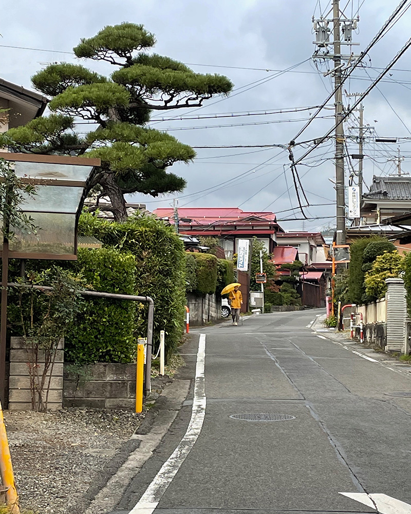 雨が降り始めた写真
