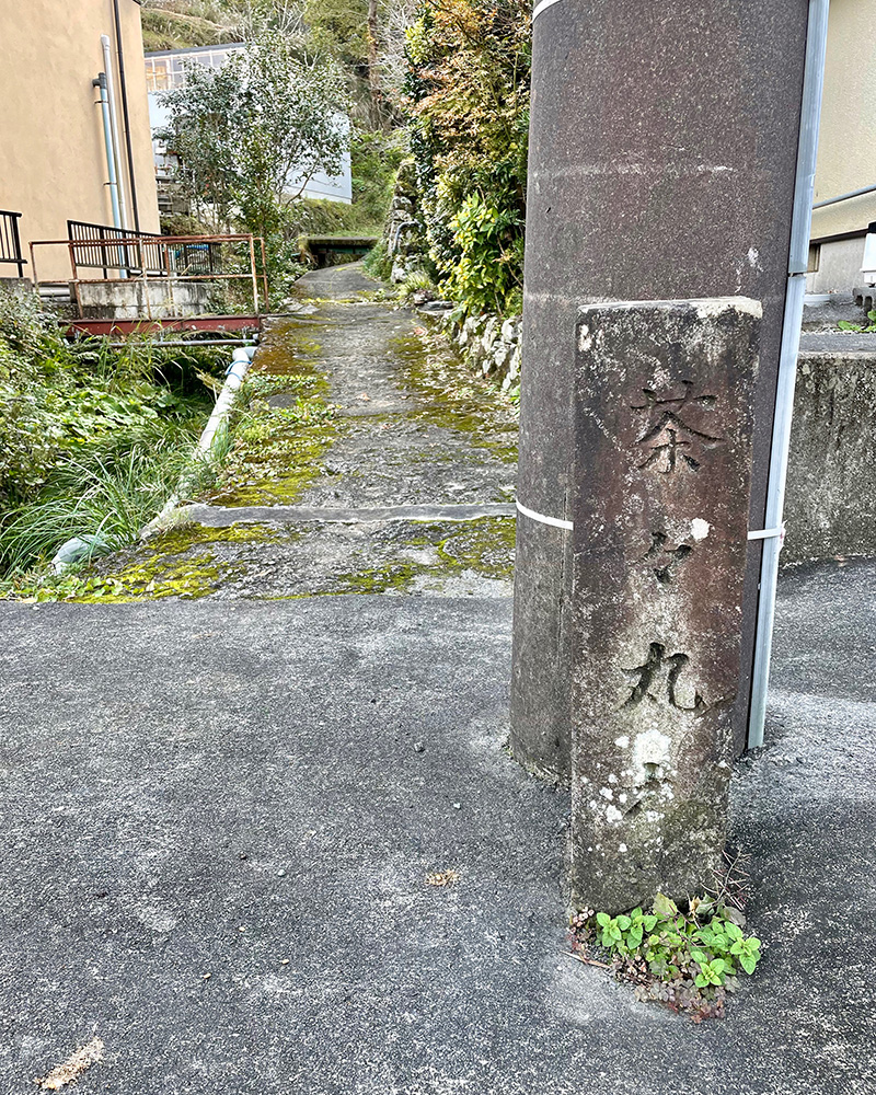 茶々丸と彫られた石碑を見つけた写真