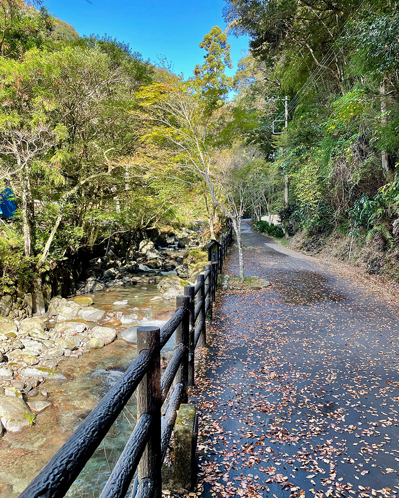 渓谷沿いの道をゆく写真