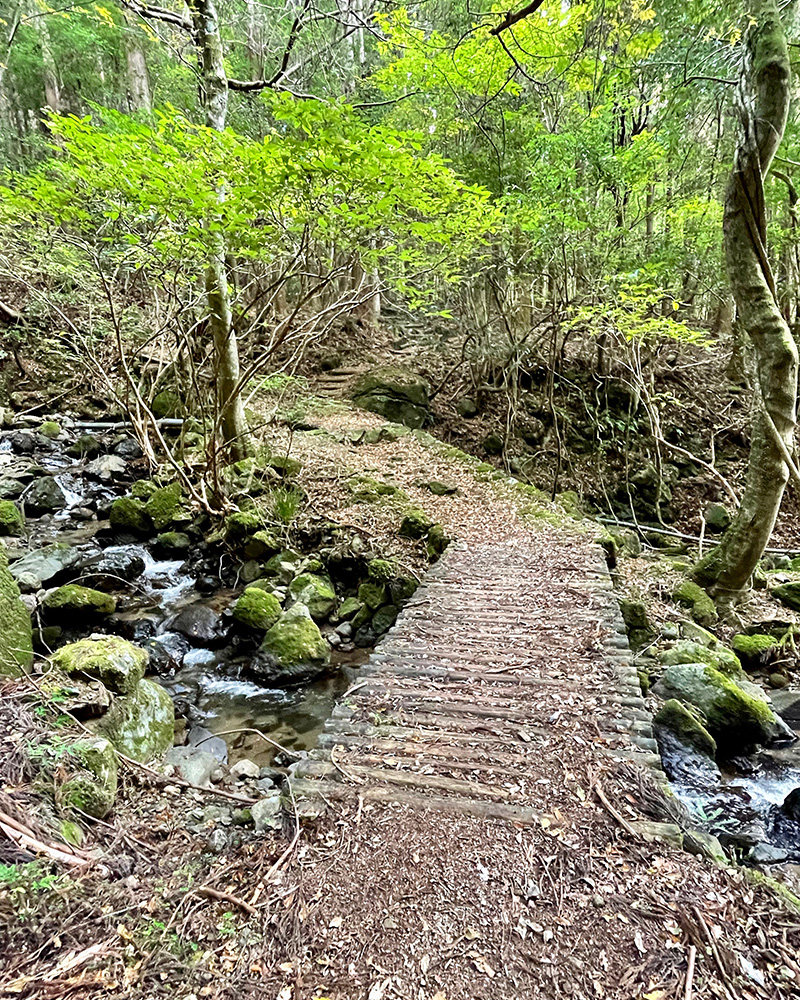 次々に道が変化して楽しい写真