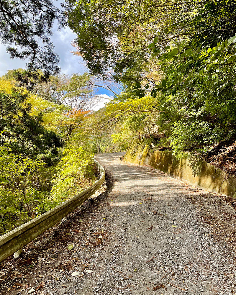 車が通れる道になった写真