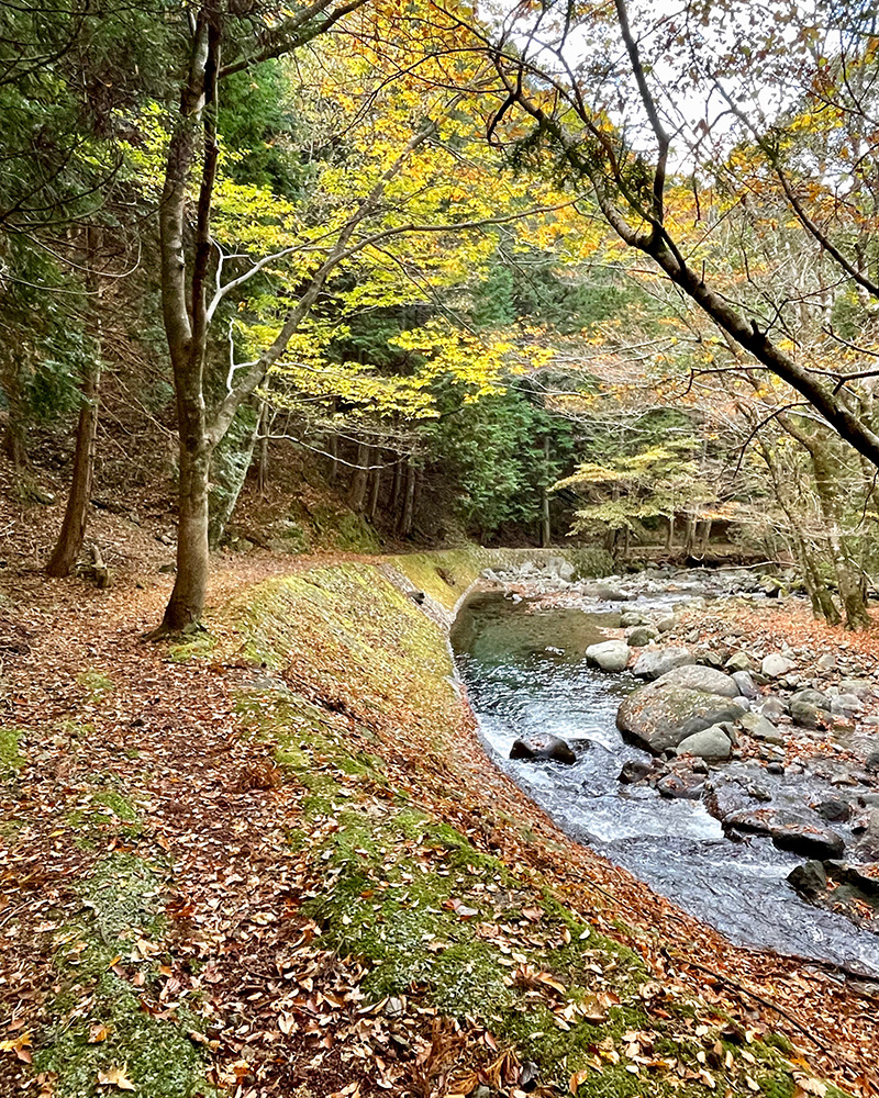 川が北に向かって流れていく写真