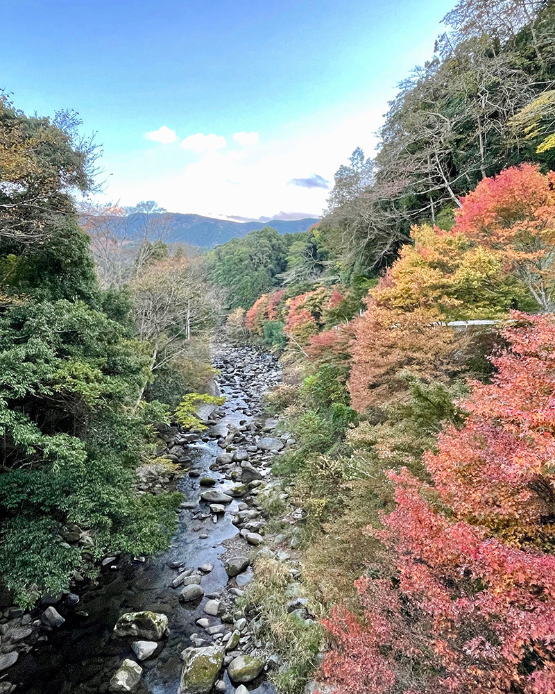 湯ヶ島温泉に着いた写真