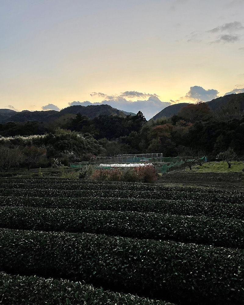 山の向こうに日が落ちてしまった写真