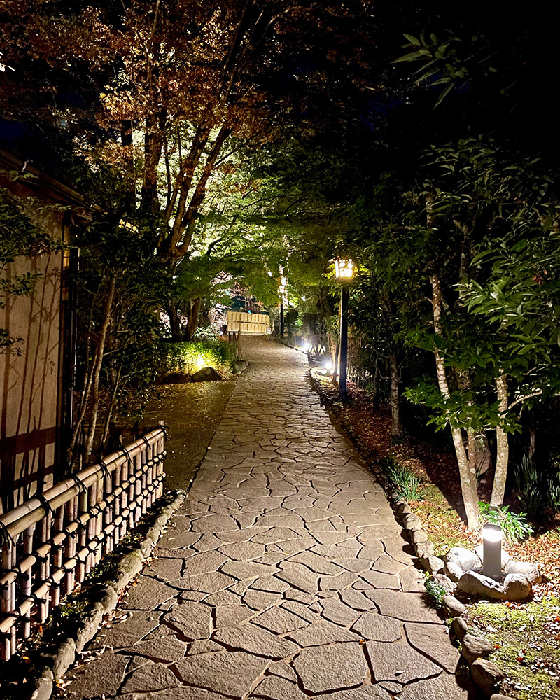 竹林の細道の写真