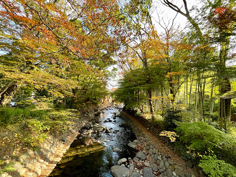 修善寺の街を流れる桂川の写真